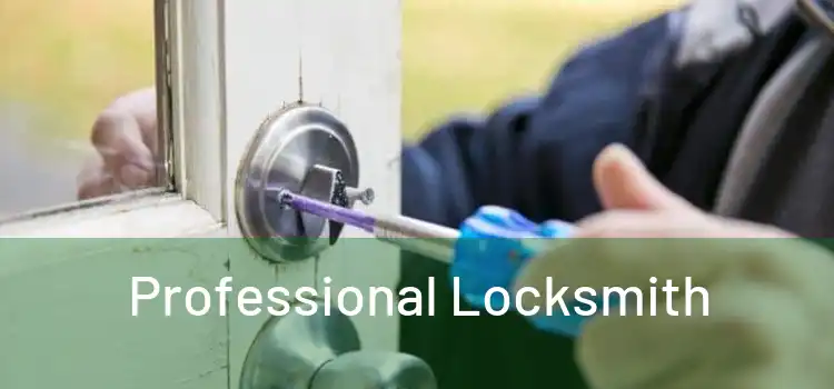 Professional Locksmith 